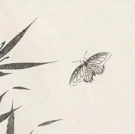 卢坤峰国画蝴蝶
