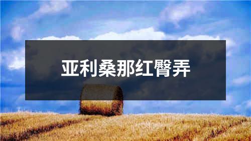 亚利桑那红臀弄