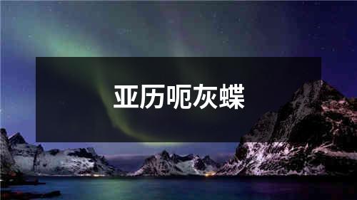 亚历呃灰蝶