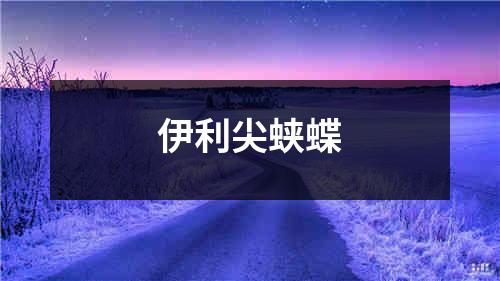 伊利尖蛱蝶