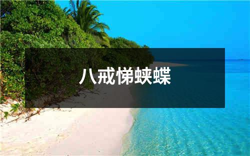 八戒悌蛱蝶