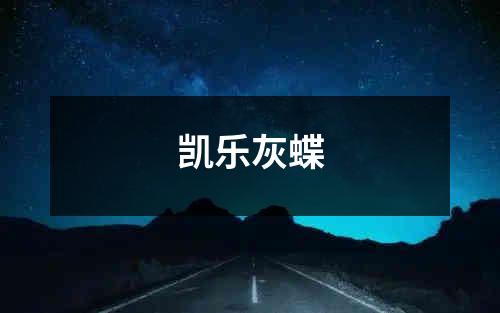 凯乐灰蝶