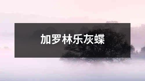 加罗林乐灰蝶