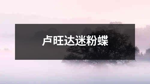 卢旺达迷粉蝶