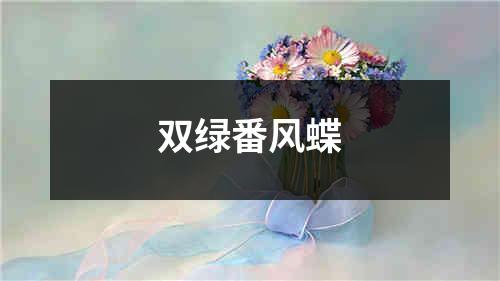 双绿番风蝶