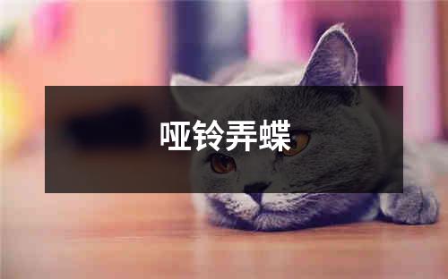 哑铃弄蝶