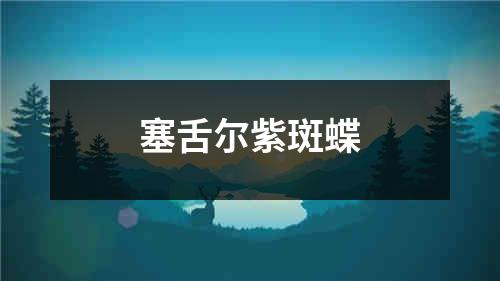 塞舌尔紫斑蝶