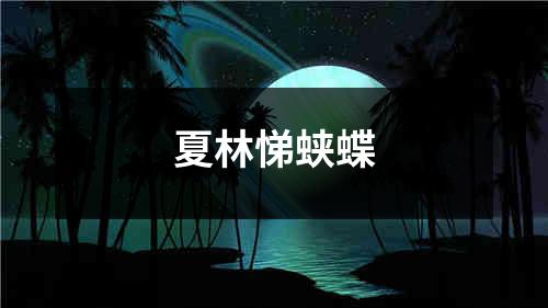 夏林悌蛱蝶