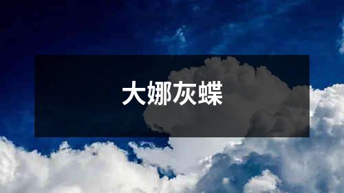 大娜灰蝶