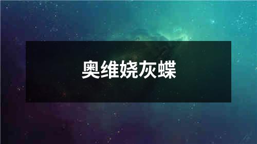 奥维娆灰蝶