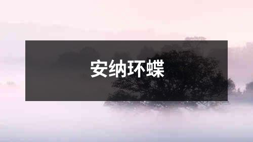 安纳环蝶