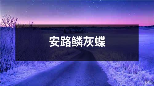 安路鳞灰蝶