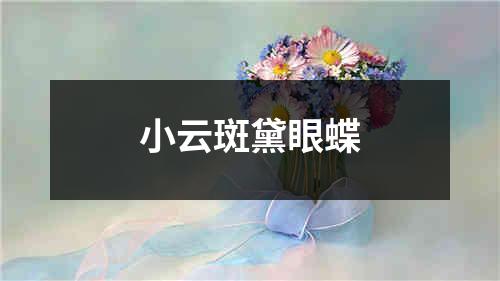 小云斑黛眼蝶