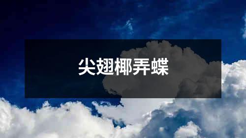 尖翅椰弄蝶