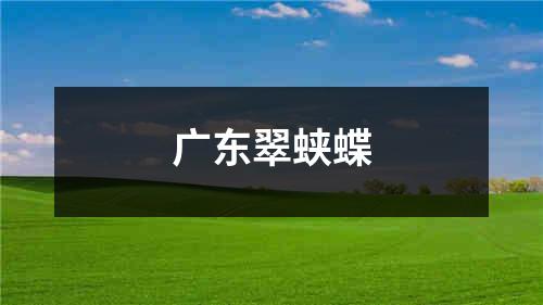 广东翠蛱蝶