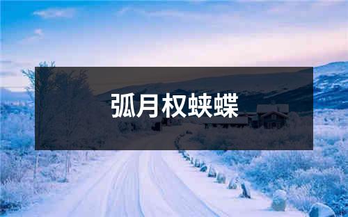 弧月权蛱蝶