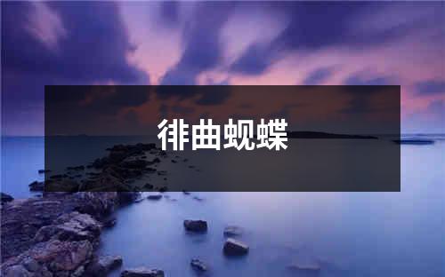 徘曲蚬蝶