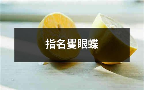 指名矍眼蝶