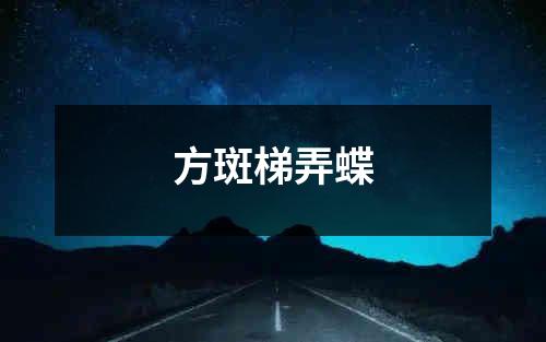 方斑梯弄蝶