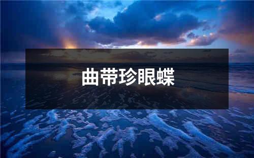 曲带珍眼蝶