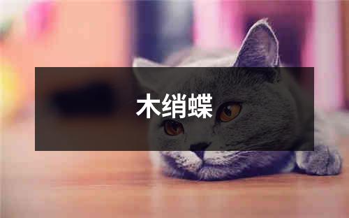 木绡蝶