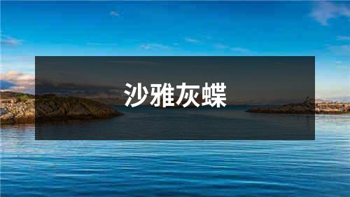 沙雅灰蝶