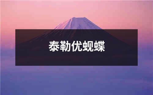 泰勒优蚬蝶