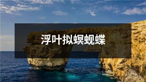 浮叶拟螟蚬蝶