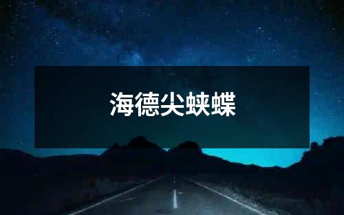 海德尖蛱蝶