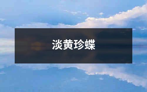 淡黄珍蝶