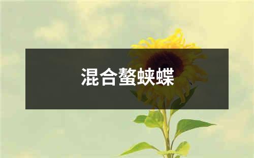 混合螯蛱蝶