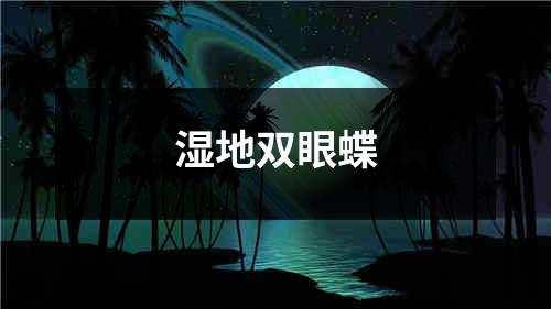 湿地双眼蝶