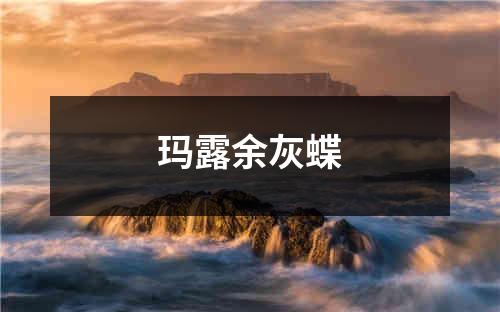 玛露余灰蝶