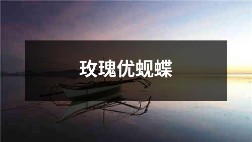 玫瑰优蚬蝶