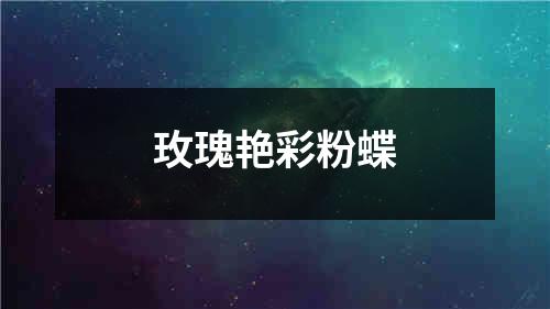 玫瑰艳彩粉蝶