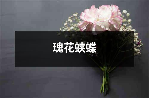 瑰花蛱蝶