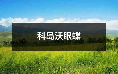 科岛沃眼蝶