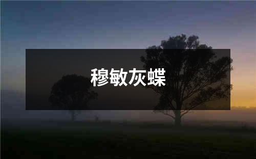 穆敏灰蝶