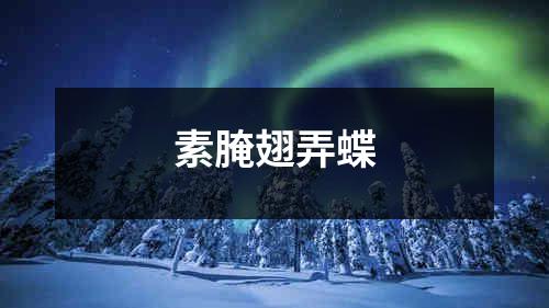 素腌翅弄蝶