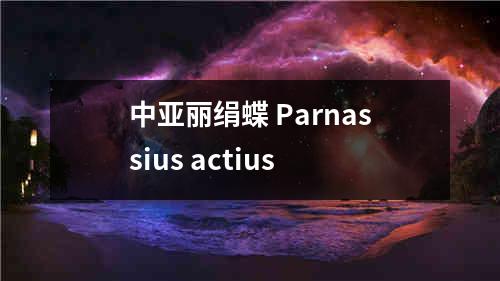 中亚丽绢蝶 Parnassius actius