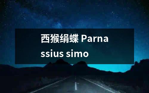 西猴绢蝶 Parnassius simo