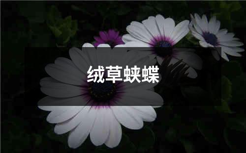 绒草蛱蝶