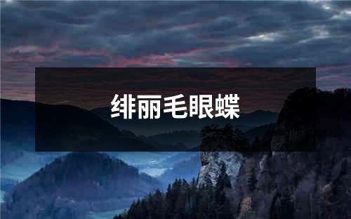 绯丽毛眼蝶