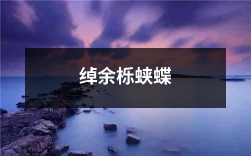 绰余栎蛱蝶