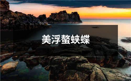 美浮螯蛱蝶