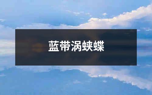 蓝带涡蛱蝶