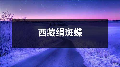 西藏绢斑蝶