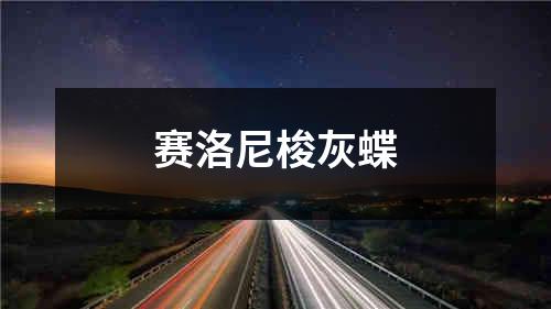 赛洛尼梭灰蝶