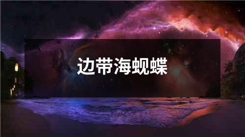 边带海蚬蝶