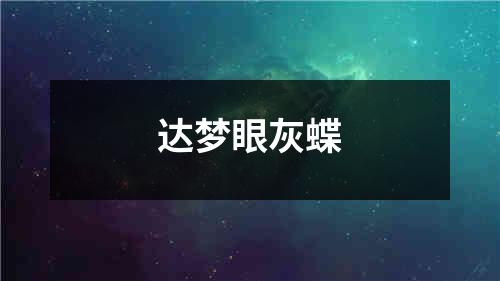 达梦眼灰蝶